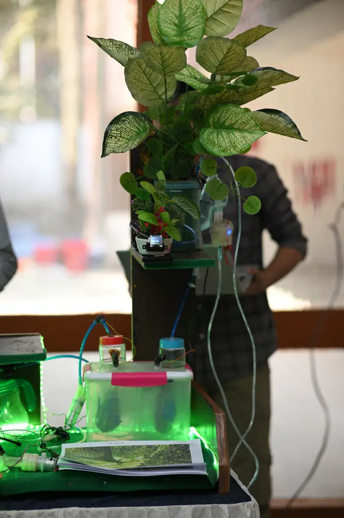 Project Show photo 2